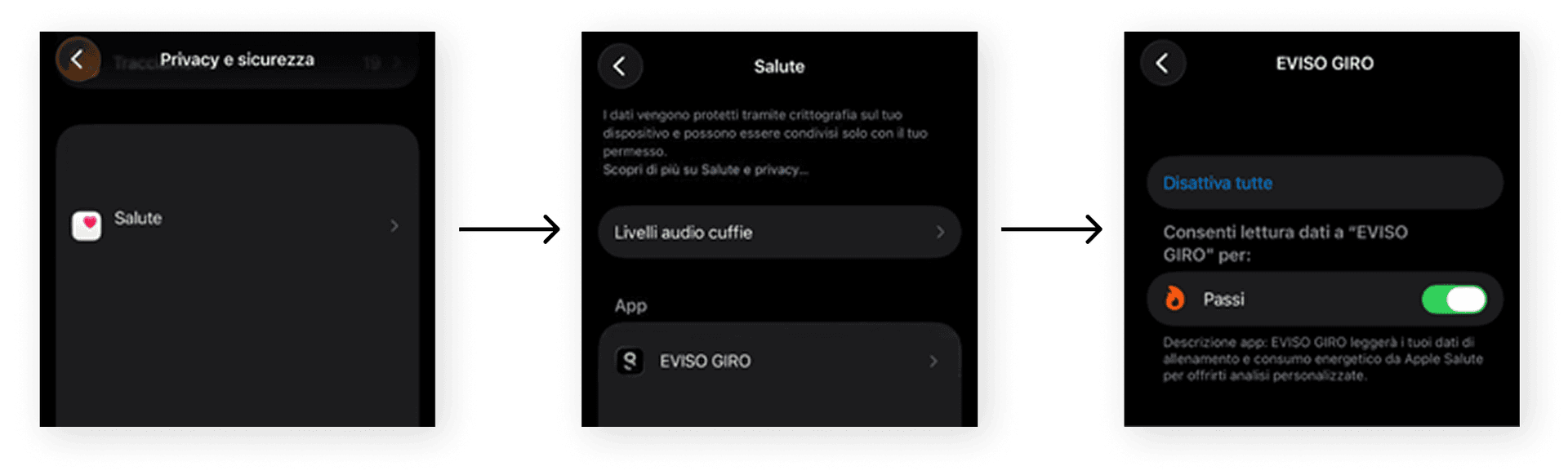 Schermate di iPhone con il percorso Impostazioni, Privacy, Salute e le autorizzazioni di eVISO giro.